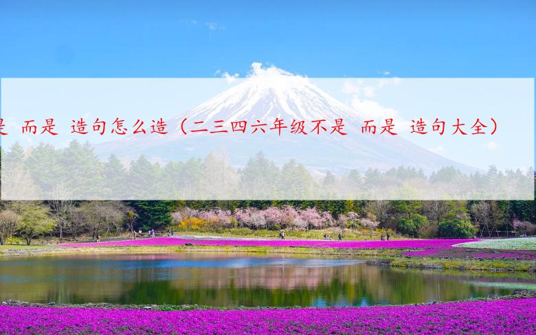 不是 而是 造句怎么造（二三四六年级不是 而是 造句大全）